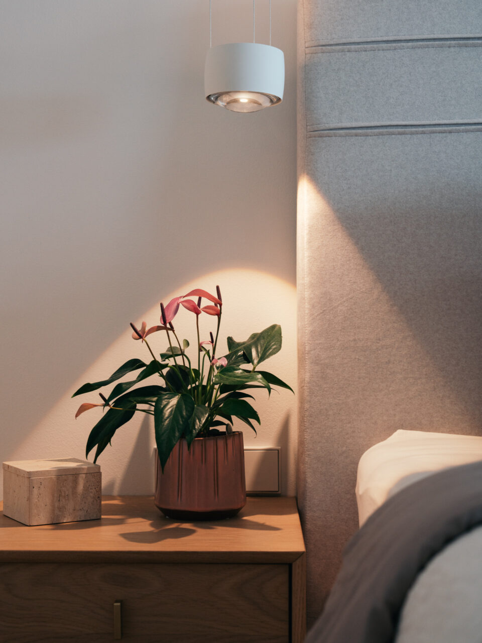 Detailansicht Schuh Licht + Raum Projekt: Eine Wohnung in St. Peter